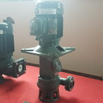 沃德立式化工泵YHL750-40耐酸碱化工泵