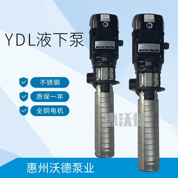 YDL2-170液下泵高温不锈钢泵
