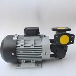 YS-15C-200泵元欣热油泵