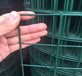 武汉凯美厂家供应浸塑波浪铁丝网/园林围护荷兰网1.5米乘30米一卷