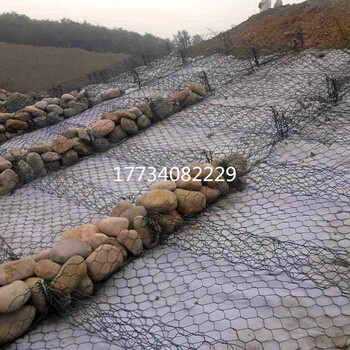 云美河道治理雙隔板雷諾護(hù)墊熱鍍鋅防護(hù)石籠網(wǎng)墊