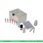 人丝氨酸;苏氨酸蛋白磷酸酶(STPK)elisa试剂盒