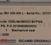 PompeGARBARINO泵配件机械密封4200JB65M5021BVPGG
