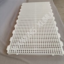 小鸡鸭鹅加强塑料漏粪板120×50规格育雏养殖塑料平网
