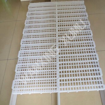 雞鴨鵝塑料漏糞地板方孔通用款100×50厘米塑料網(wǎng)床