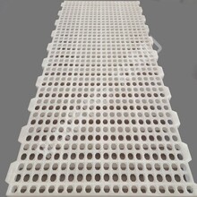 小鹅塑料漏粪板规格100乘50厘米小孔款育雏鹅粪板平养网床