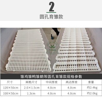小鵝用塑料漏糞板100乘50厘米小孔款育雛鵝平養網(wǎng)床
