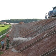 边坡喷播植草挂网客土喷浆用铁丝网客土喷播施工挂网边坡挂网矿山复绿生态恢复边坡绿化施工挂网