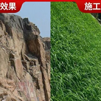 边坡喷播植草挂网客土喷播施工挂网生态恢复边坡绿化施工挂网​