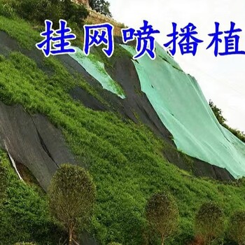 边坡喷播植草挂网客土喷浆网客土喷播施工挂网边坡绿化施工挂网