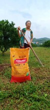 修复土壤结构，改良土壤，疏松土壤，就用昕爵20kg菌肥e稼
