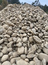 跃云园林鹅卵石园林砾石用于湖岸小溪铺垫小鹅卵石绿化鹅卵石子
