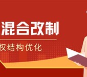 民营企业私营企业参与国企央企混改