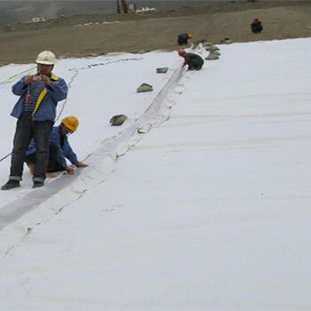 600g/㎡复合土工膜经常用于堤坝防渗工程