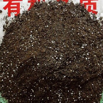 無土栽培固體基質(zhì)的選擇