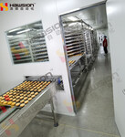 自动化输送线东莞浩顺用于饼干和曲奇规模化生产的自动化流水线