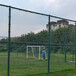 宁波墨绿色球场围网篮球场隔离网运动场防护网工厂直供