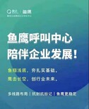 数企云外呼系统，网页版登陆，手机立APP，虚拟直拨线路和回拨图片5