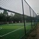渭南市球场护栏网网球场浸塑围网运动场隔离网