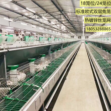 供应养殖兔子笼具设备新式子母兔笼欧式24位