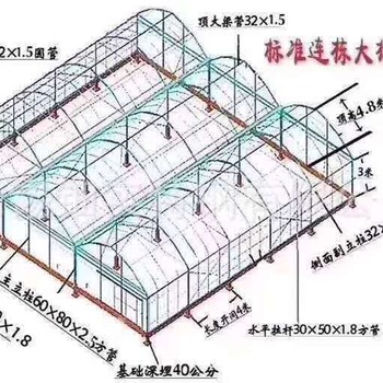 连栋大棚镀锌定尺现货