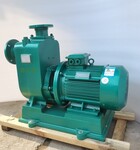 大流量自吸泵300ZW800-14惠沃德卧式管道泵