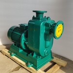 40ZX6.3-20惠沃德卧式铸铁管道泵循环水泵