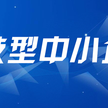 河北科技型中小企業(yè)申報服務