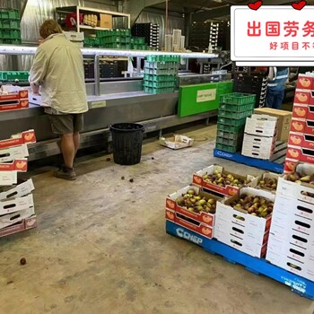 四川广元商务外派企业不拖欠薪资普通人出国打工