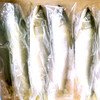 日本料理食材批發，鴨綠江香魚基地直供，水產廠家批發全年供貨