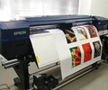 愛普生S80680雙噴頭十色墨盒弱溶劑打印機