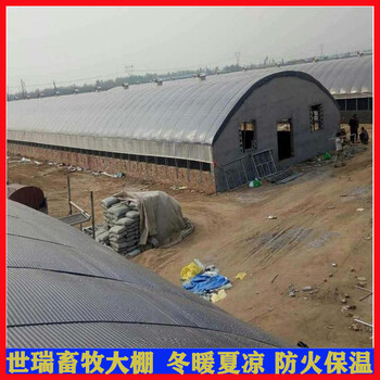 建造养羊大棚价格绵羊养殖大棚建设羊圈大棚施工安装