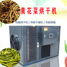 黄花菜烘干机空气能热泵干燥设备烘干房烤箱