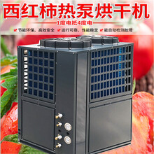 广州凌科番茄烘干机果蔬节能干燥设备