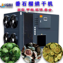 广州凌科番石榴烘干机家用节能干燥设备