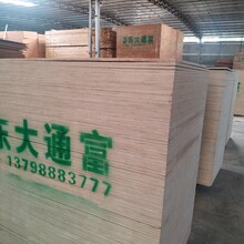 广东厂家工地楼房工程施工使用的建筑菲林板覆膜板胶合板木方