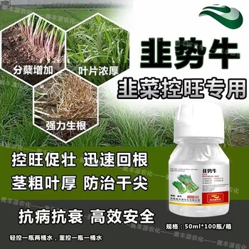 奧豐源韭菜控旺增產(chǎn)素-韭勢牛就是牛