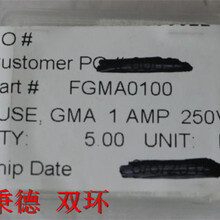美國CWS熔斷器FGMA0100圖片