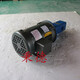 VIKING 泵 SG-40514-G00 (2)