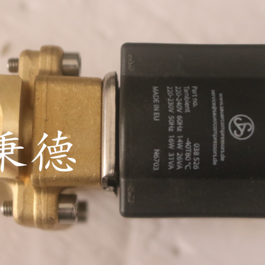 紹爾SAUER安全閥030915（進口）