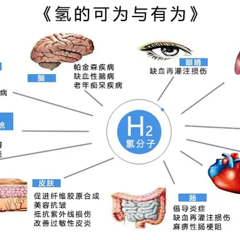 制氢机氢氧机哪个厂家的好如何加盟