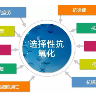 单人多功能小型吸氢机家用氢发生器加盟合作图片6