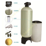山东供应软化水设备除盐除垢设备锅炉去离子水设备工业软水设备图片0
