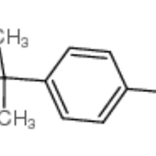 叔丁基茴香醚