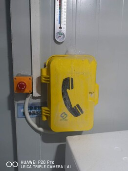 抗冻工业电话机防水防潮电话机壁挂式抗噪电话机