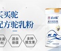 买买驼配方驼乳粉300g罐装含有专利菌种的配方驼奶