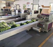 广东蔬菜包装机不定长三伺服蔬菜长短上下切枕式包装机