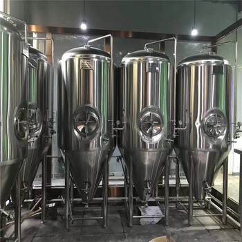 广东酒馆酒吧自酿啤酒设备300升小型啤酒设备价格做啤酒的设备