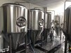 酿造啤酒的设备有哪些3吨啤酒设备供应广西的啤酒设备厂家