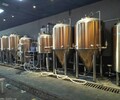 達州酒吧啤酒屋精釀原漿啤酒設備日產1噸啤酒設備廠家供應